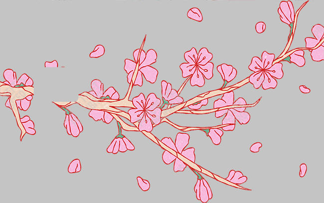 Bank  Card Sticker-BC-494